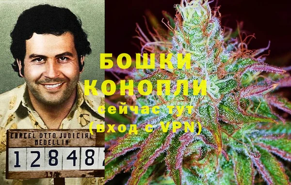 каннабис Алзамай