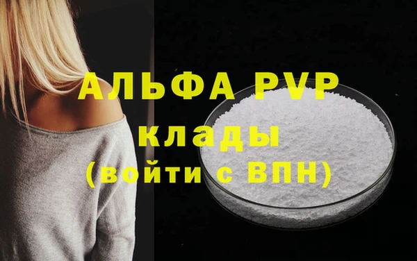 стаф Осинники