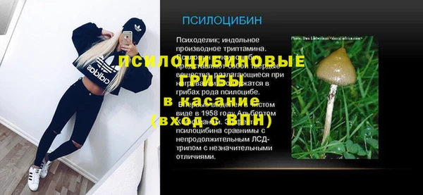 мет Алексин