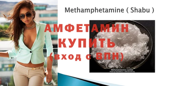 мет Алексин