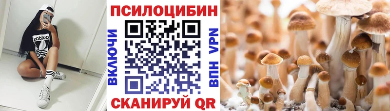 Галлюциногенные грибы Psilocybine cubensis  Кропоткин 